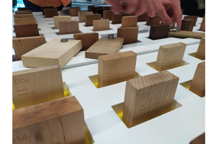 Más un centenar de investigadores difunden nuevos estudios sobre el