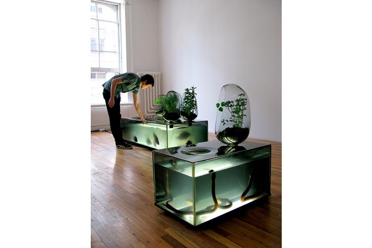 hogares_nuevos_jardines_23053_20220420125825.png (750×500)