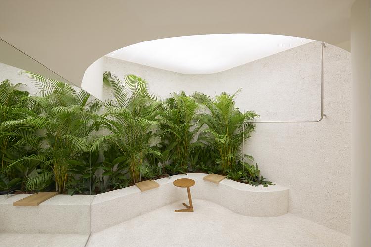 hogares_nuevos_jardines_23053_20220420125930.png (750×500)