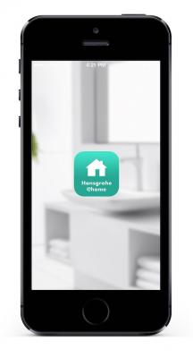 hansgrohe ayuda prof